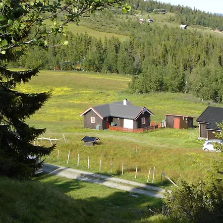 Pa Fjellet, Med Mange Turmuligheter ! * Гуль