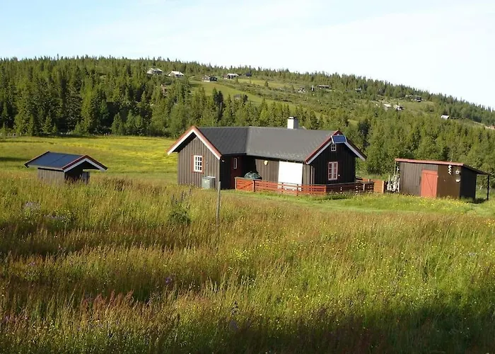 Pa Fjellet, Med Mange Turmuligheter ! * Гуль