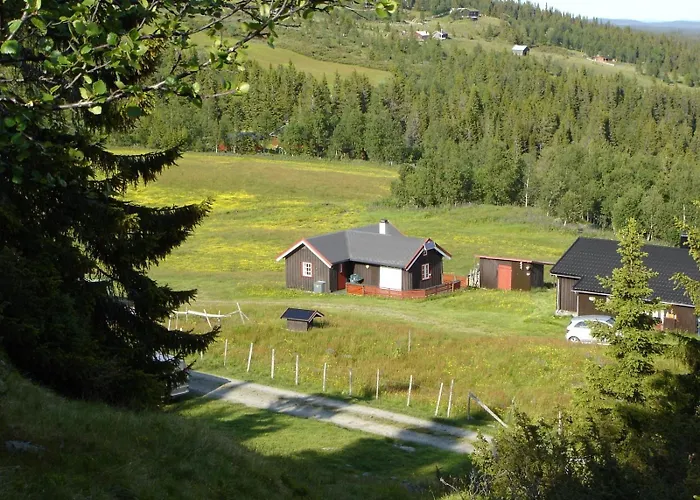 Pa Fjellet, Med Mange Turmuligheter ! * Гуль
